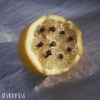 Lord Malvo estrenan Si Murieras como nuevo single