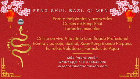 Curso año 2025 de la Serpiente de madera yin 🉐