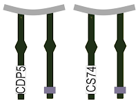 Gaviotas de Audouin con anilla  CDP5 y CS74