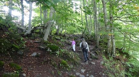 Ruta al Saut deth Pish y por el Barranc de Varradòs | Valle de Arán