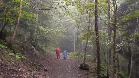 Ruta circular por Artiga de Lin: Uelhs deth Joèu y Saut de Pomèro | Valle de Arán