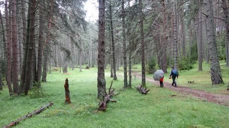 Circular por el lago de Engolasters, el Camí de les Pardines y el Camí del Confós | Andorra