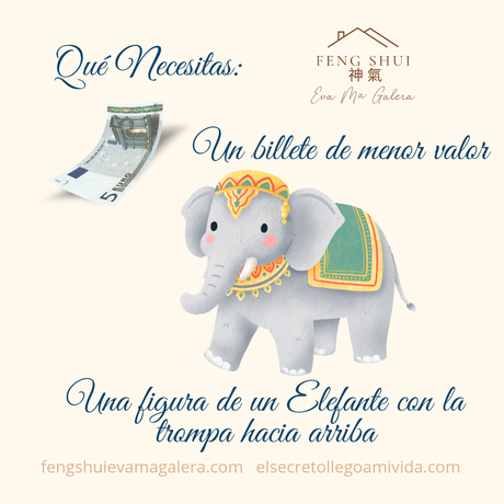 Ritual Elefante 🐘