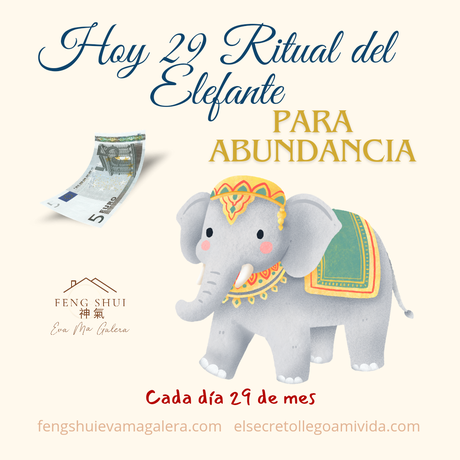 Ritual Elefante 🐘