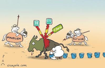 Paso histórico contra la tauromaquia… y “Tardes de soledad”.