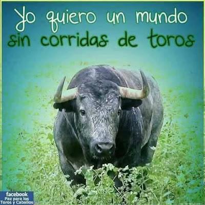 Paso histórico contra la tauromaquia… y “Tardes de soledad”.