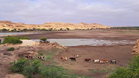 ANGOLA: TOMBWA, LOS ARCOS Y LAS COLINAS DE CUROCA ANGOLA: TOMBWA, LOS ARCOS Y LAS COLINAS DE CUROCA