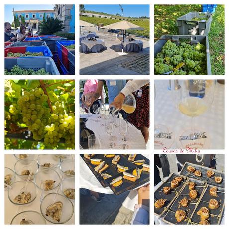 XII Xuntanza de Bloggers Gastronómicos de Galicia