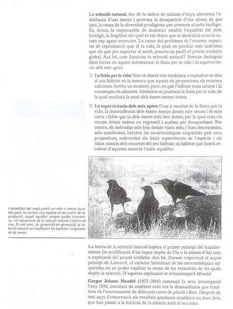 DESENVOLUPAMENT HISTÒRIC DE LA TEORIA DE L'EVOLUCIÓ