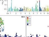 Descubren vínculo genético entre trastorno bipolar epilepsia
