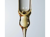 HAIR SCALP CONSCIOUS BOTANIST