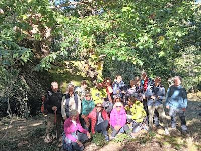 FIN DE SEMANA 2024 FIN DE SEMANA 2024