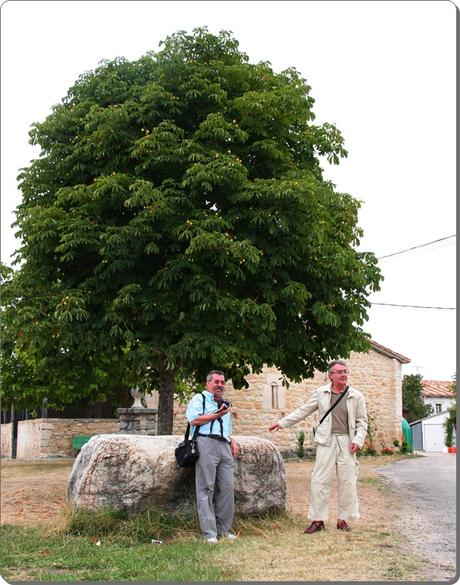 Edén en Miñón-Burgos Edén en Miñón-Burgos