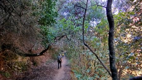 Ruta de Figaró-Montmany al Mirador del Sot del Bac | Vallès Oriental