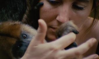 'Tardes de soledad' se alza con la Concha de Oro de la 72ª edición del Festival de San Sebastián 'Tardes de soledad' se alza con la Concha de Oro de la 72ª edición del Festival de San Sebastián