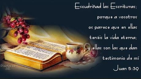 Reflexión Sobre el Estudio de La Biblia