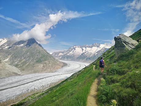 Glaciar Alexsch Glestscher Glaciar Alexsch Glestscher