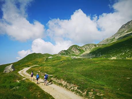 Glaciar Alexsch Glestscher Glaciar Alexsch Glestscher