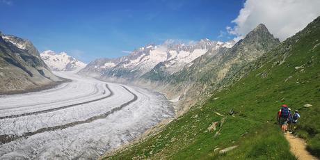 Glaciar Alexsch Glestscher Glaciar Alexsch Glestscher