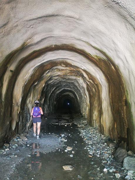 Glaciar Alexsch Glestscher Glaciar Alexsch Glestscher