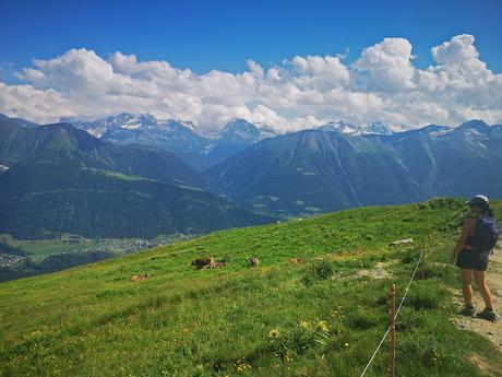 Glaciar Alexsch Glestscher Glaciar Alexsch Glestscher