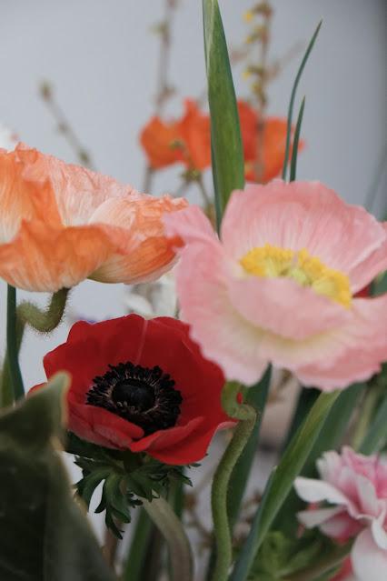 Ramos de Novia Silvestres: Todo un Acierto Anémonas