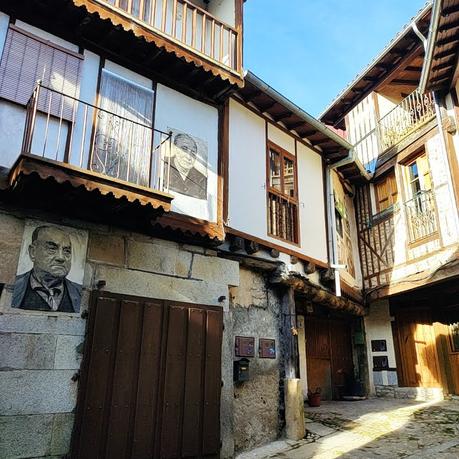 La Vieja Zorra Selección Especial 2019