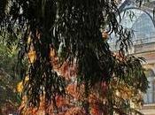 Disfrutar otoño Madrid: Actividades eventos para octubre