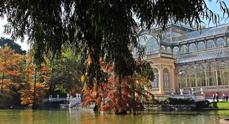 Disfrutar del otoño en Madrid: Actividades y eventos para octubre Disfrutar del otoño en Madrid: Actividades y eventos para octubre