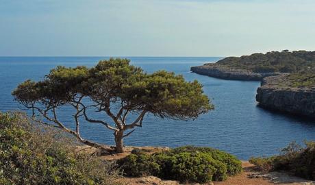 La artesanía mallorquina: Tradición, talento y productos únicos