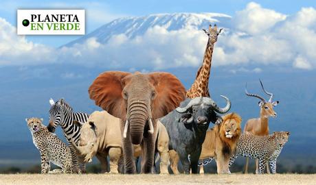 Biodiversidad en America