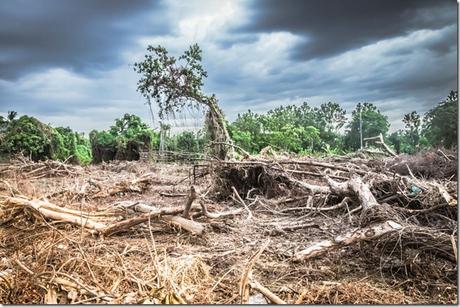 cambio-climatico-gente-saludable