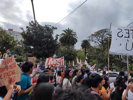 La columna vertebral de la Nación es la educación pública que iguala y nos hace libres