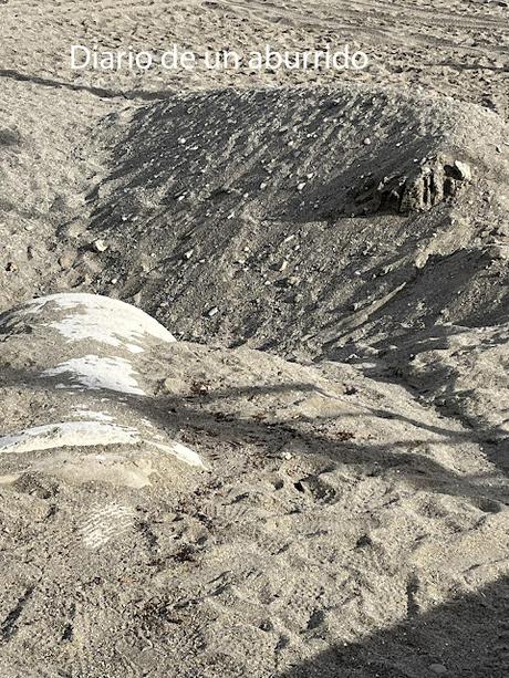 Pájaros en la boca de Samanta Schweblin Pájaros en la boca de Samanta Schweblin