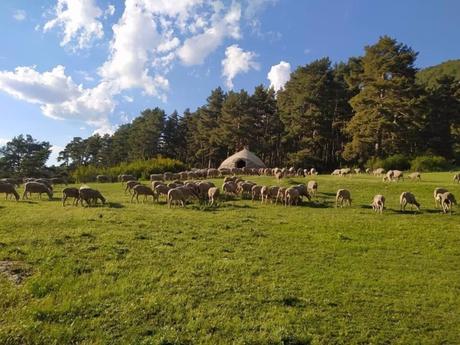 Aviso amarillo por lluvias en varias comunidades autónomas este domingo y suben de las temperaturas máximas