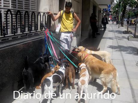 Pájaros en la boca de Samanta Schweblin Pájaros en la boca de Samanta Schweblin