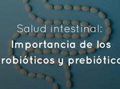 Salud Intestinal: Importancia probióticos prebióticos
