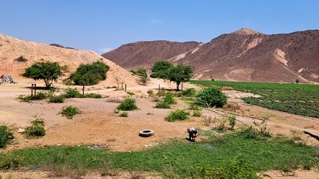 ANGOLA: RECORRIDO POR LA COSTA DESDE NAMIBE A SUMBE ANGOLA: RECORRIDO POR LA COSTA DESDE NAMIBE A SUMBE