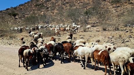 ANGOLA: RECORRIDO POR LA COSTA DESDE NAMIBE A SUMBE ANGOLA: RECORRIDO POR LA COSTA DESDE NAMIBE A SUMBE