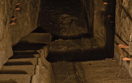 Sueño, luego existo