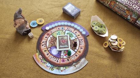 BASAJÁUN: ¡El renacer del bosque!