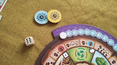 BASAJÁUN: ¡El renacer del bosque!