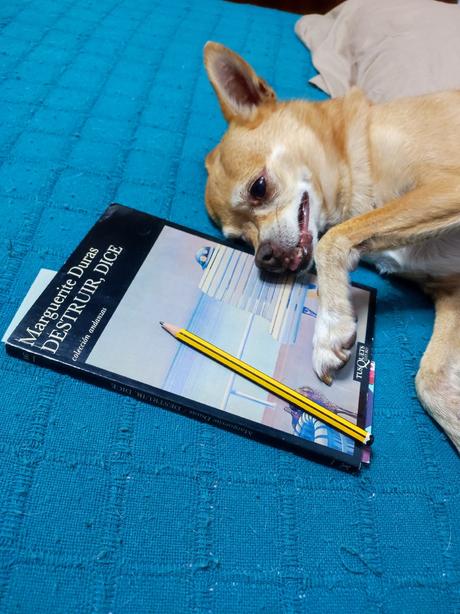 NO HAY ABURRIMIENTO CUANDO NO LO NOMBRAS