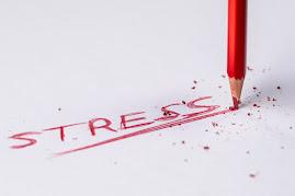 El Poder de los Alimentos Antiinflamatorios