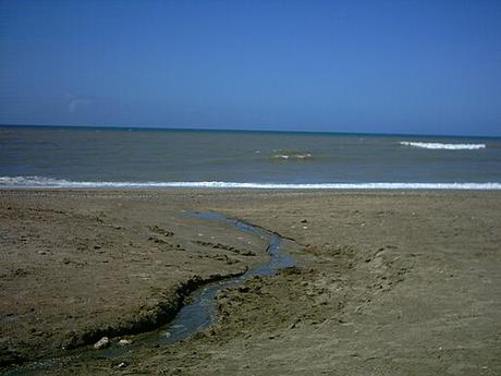 La vida por delante - Magalí Etchebarne