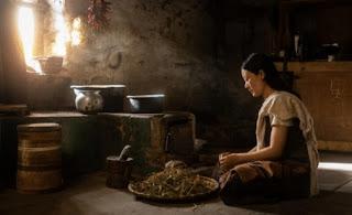 ENTREVISTA CON FINA IÑIGUEZ ABAD POR EL FESTIVAL DE CINE BUDISTA DE CATALUNYA