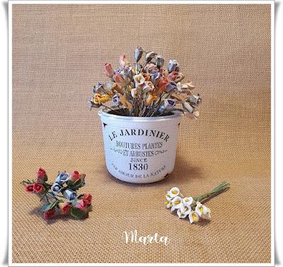 MACETITA CON TRANSFER