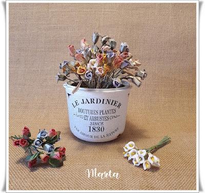 MACETITA CON TRANSFER