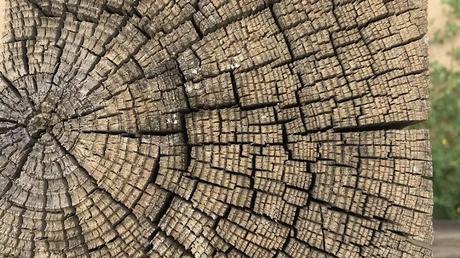 Pensar los nacionalismos