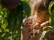 Alcarrás dolor demás